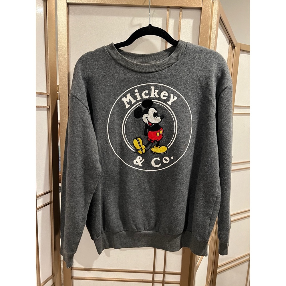 Disneyland Mickey & Co Pullover - Sz S!!